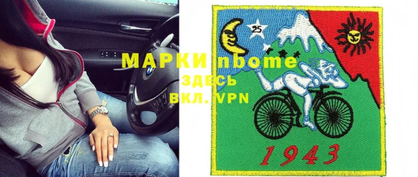 индика Заволжск