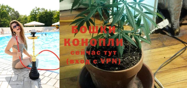 ALPHA PVP Елизово