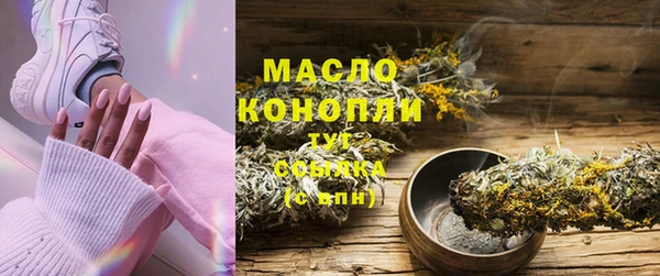 мет Ельня