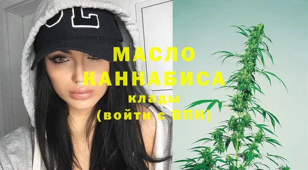 мет Ельня
