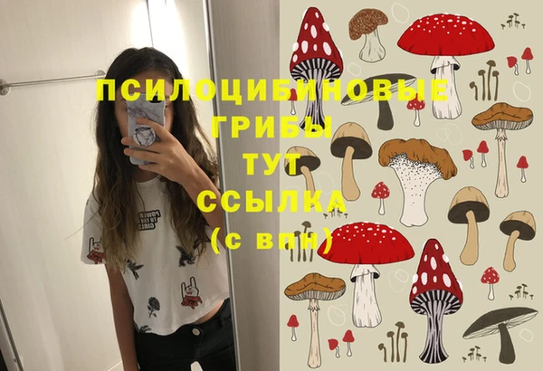тгк Заводоуковск