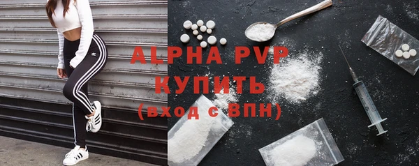 индика Заволжск