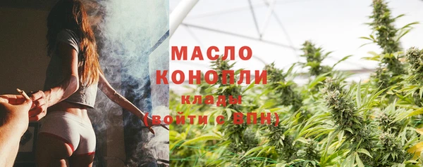 индика Заволжск
