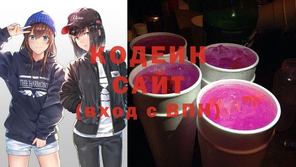 индика Заволжск