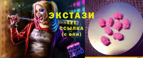 индика Заволжск