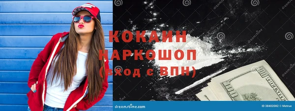 индика Заволжск