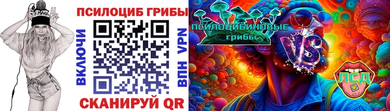 Купить  Дно  Псилоцибиновые грибы MAGIC MUSHROOMS 